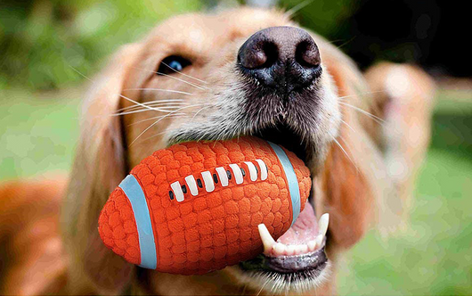Orange textured latex dog toy shaped like an American football with blue and white accents, measuring 14cm long and 8cm wide. - Image 3