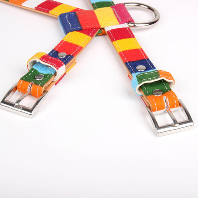 Correa de Paseo para Perros con Arnés Pecho Multicolor - Combinación Lona y PU - Image 7