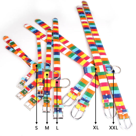 Correa de Paseo para Perros con Arnés Pecho Multicolor - Combinación Lona y PU - Image 12