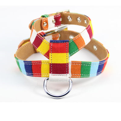 Correa de Paseo para Perros con Arnés Pecho Multicolor - Combinación Lona y PU - Image 10