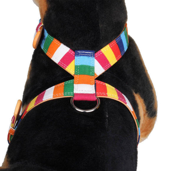 Correa de Paseo para Perros con Arnés Pecho Multicolor - Combinación Lona y PU