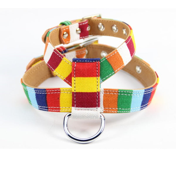 Correa de Paseo para Perros con Arnés Pecho Multicolor - Combinación Lona y PU