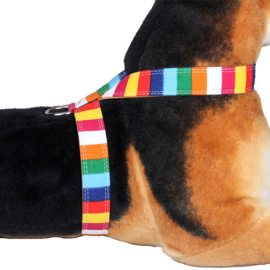 Correa de Paseo para Perros con Arnés Pecho Multicolor - Combinación Lona y PU - Image 3