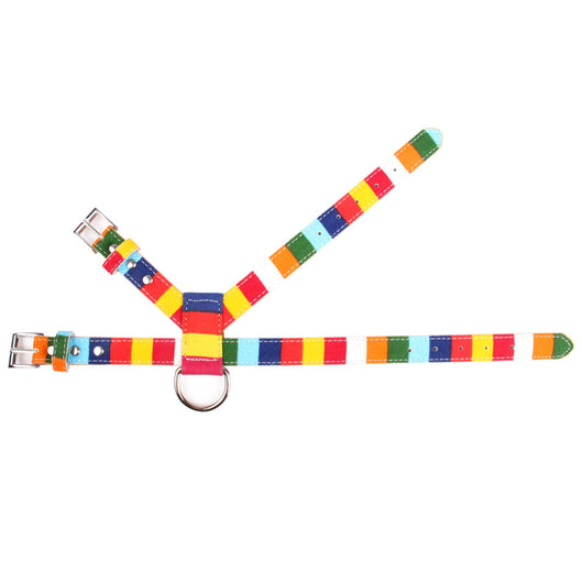Correa de Paseo para Perros con Arnés Pecho Multicolor - Combinación Lona y PU - Image 4
