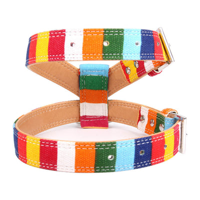 Correa de Paseo para Perros con Arnés Pecho Multicolor - Combinación Lona y PU - Image 5