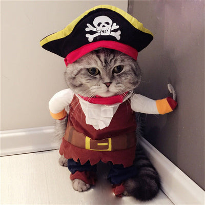 Disfraz de Pirata Teddy para Mascotas