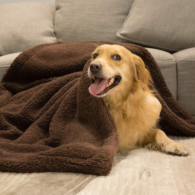 Manta Térmica Premium para Mascotas - Colchoneta Refrescante para Perros y Gatos