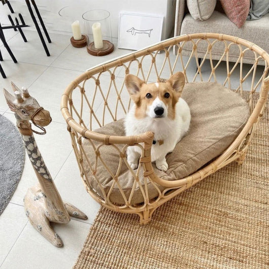 Cama para Mascotas de Ratán Tejido a Mano - Sofá Cómodo para Perros - Image 10