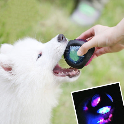 Black rubber dumbbell dog toy with red, blue, green, and yellow luminous faceted inserts.