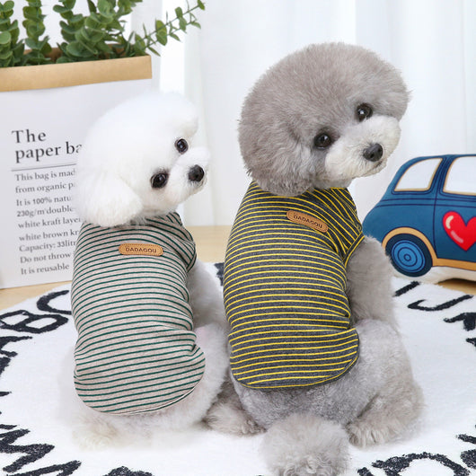 Chaleco Rayas Moderno para Perros Pequeños - Teddy, Bichón y Gatos - Image 3