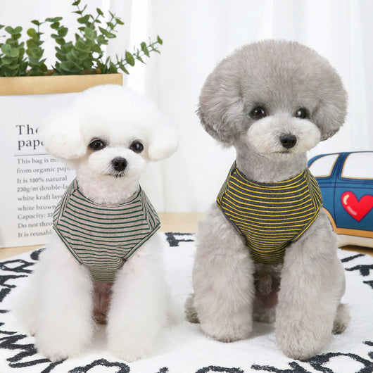 Chaleco Rayas Moderno para Perros Pequeños - Teddy, Bichón y Gatos - Image 5