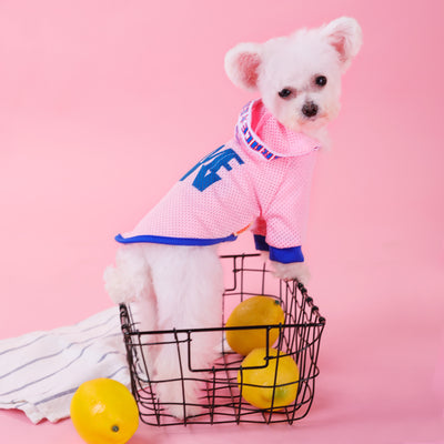 Chaleco Transpirable para Perros Pequeños con Capucha y Malla Ligera - Image 2