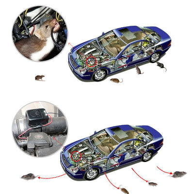 Repelente Ultrasónico para Roedores con Linterna LED y Batería 12V - Image 4