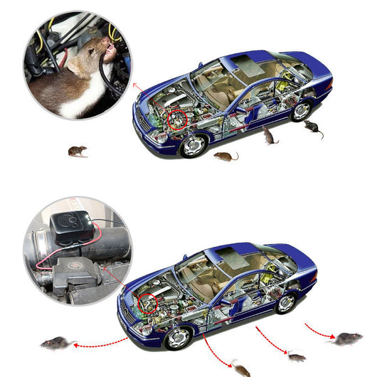 Repelente Ultrasónico para Roedores con Linterna LED y Batería 12V - Image 4