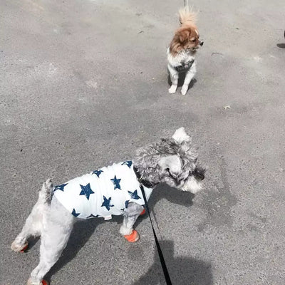Ropa para Perros - Abrigos y Disfraces Cómodos - Image 12