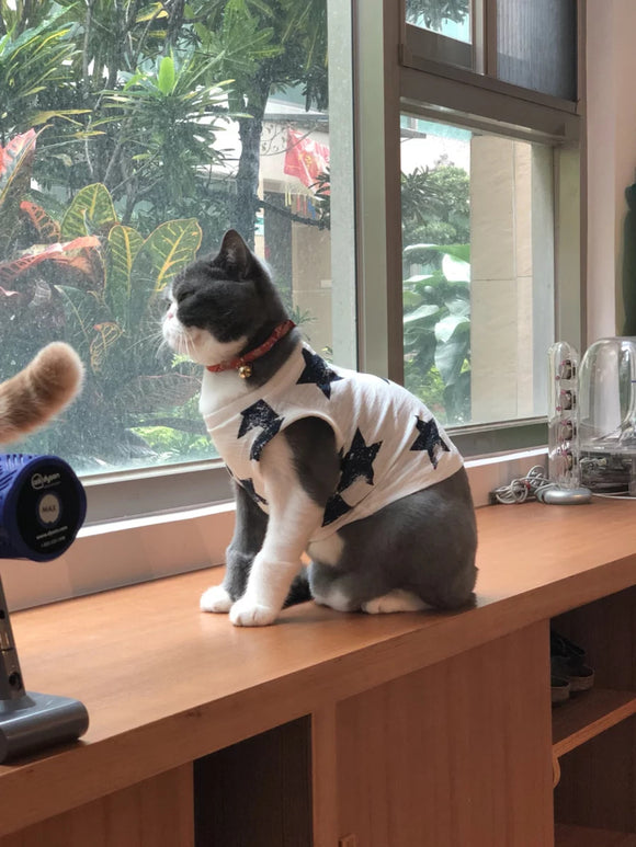 Ropa para Perros - Abrigos y Disfraces Cómodos