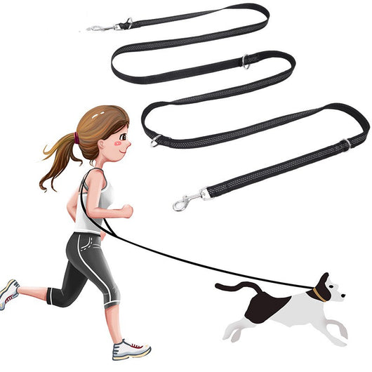 Correa Extensible Multifuncional para Pasear Perros - Image 9