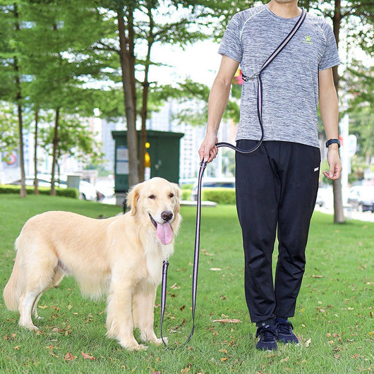 Correa Extensible Multifuncional para Pasear Perros - Image 8
