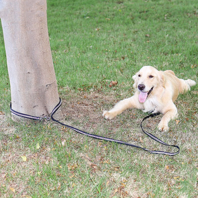 Correa Extensible Multifuncional para Pasear Perros - Image 4