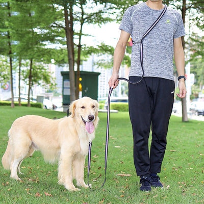 Correa Extensible Multifuncional para Pasear Perros - Image 5