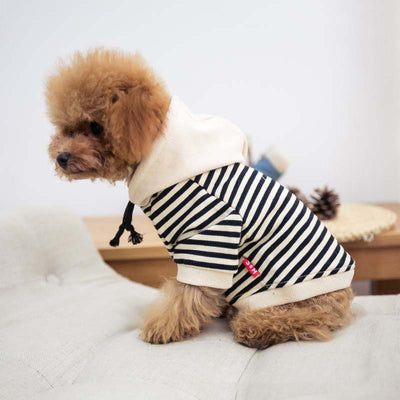 Suéter de Felpa para Perro y Dueño - Conjunto a Juego - Image 13