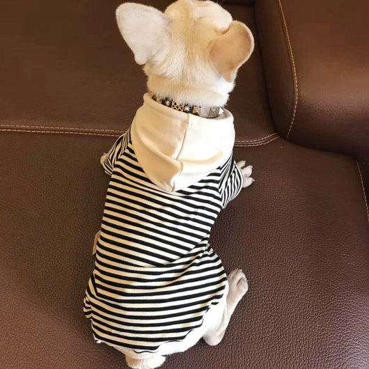 Suéter de Felpa para Perro y Dueño - Conjunto a Juego - Image 15