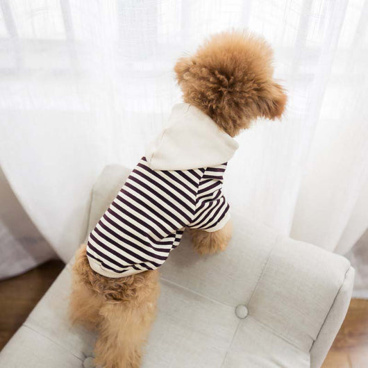 Suéter de Felpa para Perro y Dueño - Conjunto a Juego - Image 18