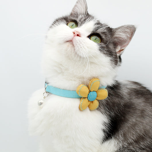 Collar para Gato y Perro Pequeño con Flores Frescas y Campanilla - Image 11