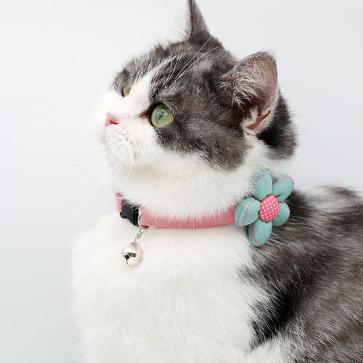 Collar para Gato y Perro Pequeño con Flores Frescas y Campanilla - Image 12
