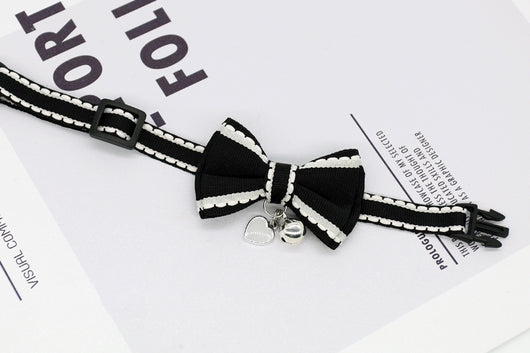 Collar para Gato y Perro Pequeño con Flores Frescas y Campanilla - Image 8