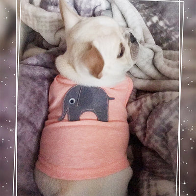 Ropa para Perros - Abrigos y Disfraces Cómodos - Image 8