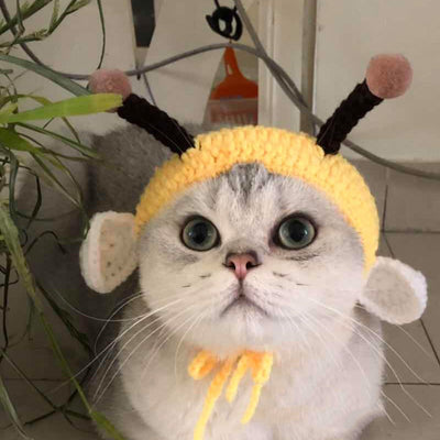 Gorro Tejido de Abeja para Mascotas - Diseño Adorable en Lana