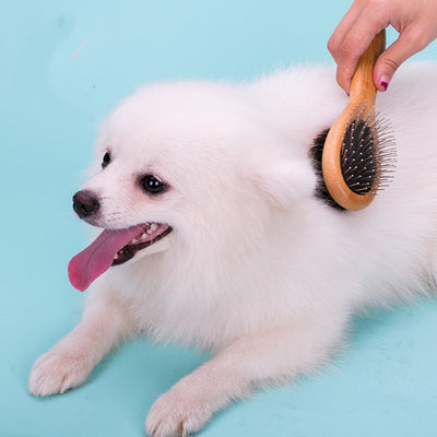 Cepillo Deslanador para Perros - Limpieza Profunda - Image 9
