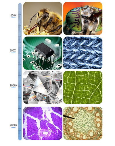 Microscopio Digital HD de 7 Pulgadas - Image 5