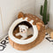 Cama de Peluche Desmontable y Lavable para Mascotas Pequeñas