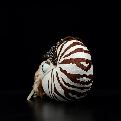 Muñeca Nautilo Simulado de Peluche - Juguete Animal Realista - Image 13