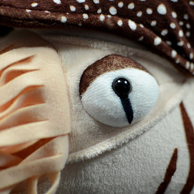 Muñeca Nautilo Simulado de Peluche - Juguete Animal Realista - Image 6
