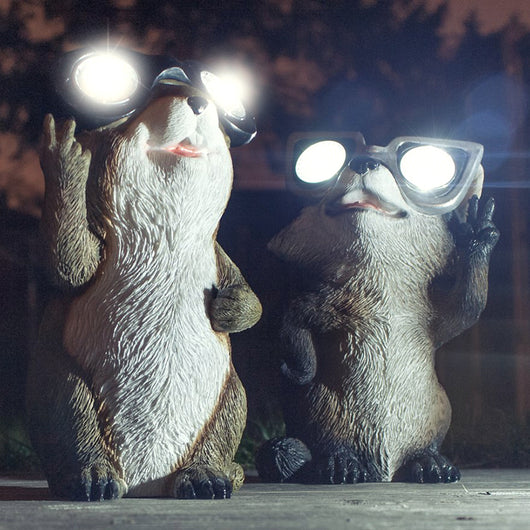 Juego de Luces Solares de Jardín con Regalo Sorpresa