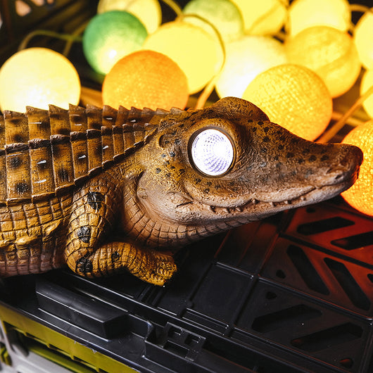 Juego de Luces Solares de Jardín con Regalo Sorpresa - Image 3