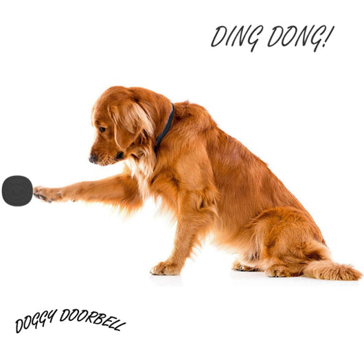 Timbre Inalámbrico para Mascotas con Alcance Extendido - Autoenergizado y Resistente al Agua - Image 5