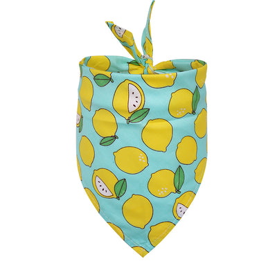Pañuelo Triangular de Algodón para Perros - Image 23