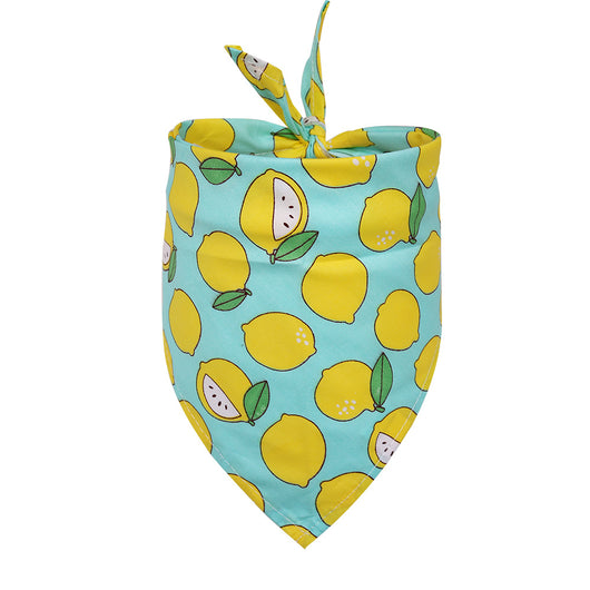Pañuelo Triangular de Algodón para Perros - Image 23