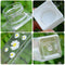 Vaso Térmico Daisy Antiderrames - Diseño Forest Outdoor