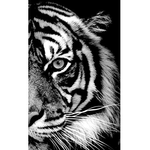 Cuadro de Diamantes 5D Tigre