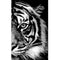Cuadro de Diamantes 5D Tigre