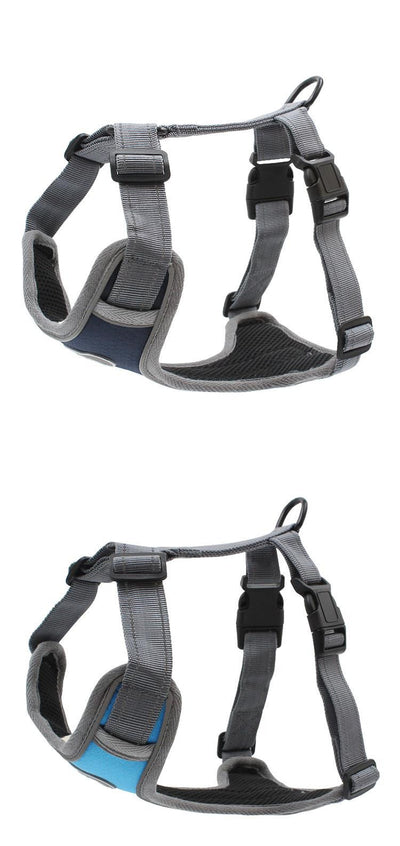 Arnés de Seguridad Antiexplosión para Perros - Image 10