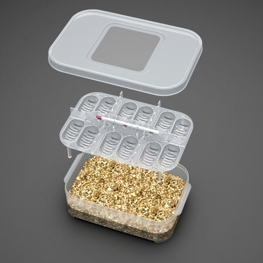 Incubadora Automática para Huevos de Reptiles, Gecko y Serpientes - Image 12