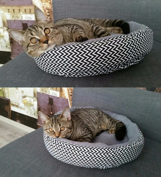 Caseta Redonda para Mascotas - Refugio Cómodo para Gatos y Perros Pequeños - Image 10