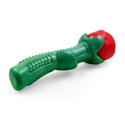 Juguete Mordedor Resistente para Cachorros - Palo Masticable Dental - Image 9