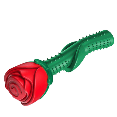 Juguete Mordedor Resistente para Cachorros - Palo Masticable Dental - Image 8